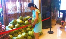 网红网爆吃瓜,揭秘娱乐圈幕后真相