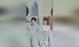 娱乐圈吃瓜爆料杨紫肖战,娱乐圈的甜蜜瓜田，揭秘他们的幕后故事